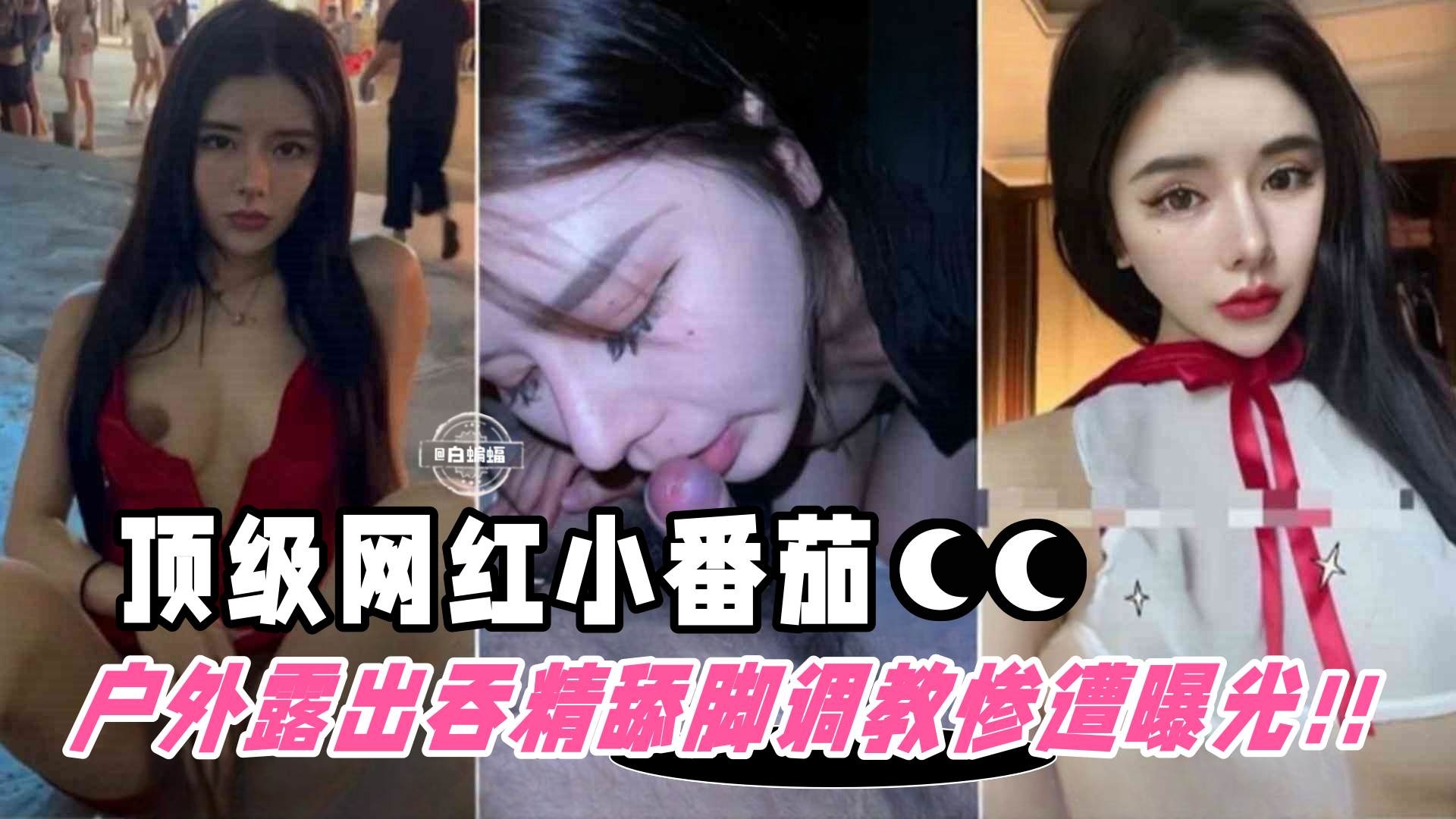 网红黑料-顶级稀缺颜值女神‘小番茄’沦为金主性奴 户外露出舔脚调教惨遭泄密-